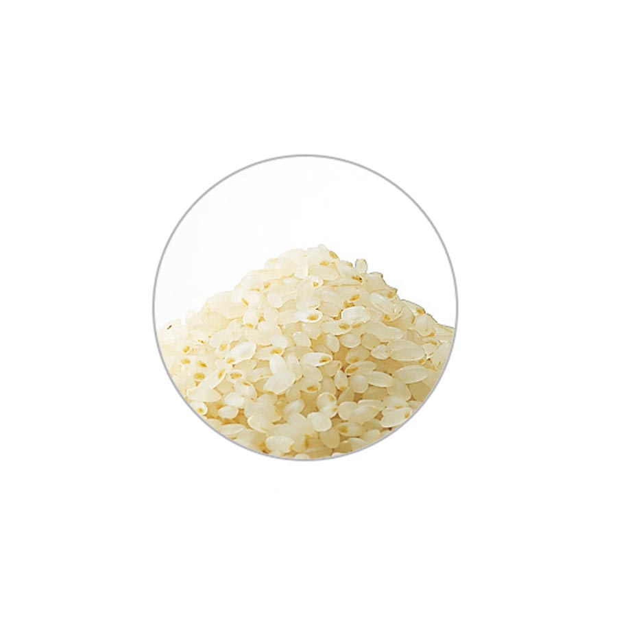 発芽米 白米仕立て