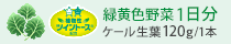 �P�[�����t ��120g/1�{