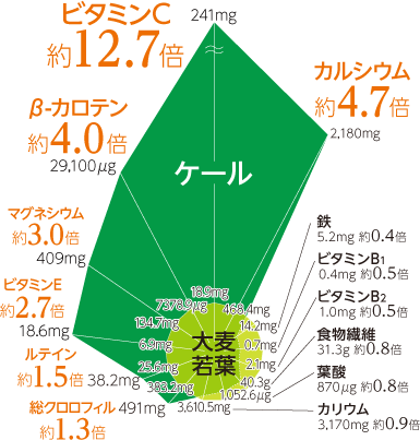 カルシウム 約4.7倍:ケール 2,180mg、大麦若葉 468.4mg
ビタミンC 約12.7倍:ケール 241mg、大麦若葉 18.9mg
β-カロテン 約4.0倍:ケール 29,100μg、大麦若葉 7378.9μg
マグネシウム 約3.0倍:ケール 409mg、大麦若葉 134.7mg
ビタミンE 約2.7倍:ケール 18.6mg、大麦若葉 6.9mg
ルテイン 約1.5倍:ケール 38.2mg、大麦若葉 25.6mg
総クロロフィル 約1.3倍:ケール 491mg、大麦若葉 383.2mg
カリウム 約0.9倍:ケール 3170mg、大麦若葉 3,610.5mg
葉酸 約0.9倍:ケール 870μg、大麦若葉 1,052.6μg
食物繊維 約0.8倍:ケール 31.3g、大麦若葉 40.3g
ビタミンB2 約0.8倍:ケール 1.0mg、大麦若葉 2.1mg
ビタミンB1 約0.5倍:ケール 0.4mg、大麦若葉 0.7mg
鉄 約0.4倍:ケール 5.2mg、大麦若葉 14.2mg