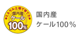 国内産ケール100%