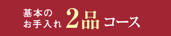 基本のお手入れ2品コース