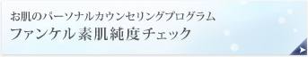 �t�@���P���f�����x�`�F�b�N