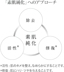 「素肌純化」へのアプローチ