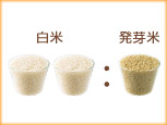 1.炊きたい量のお米を計ります