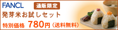 �t�@���P���I�����C��