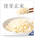 ���茺��