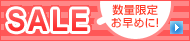 �C���^�[�l�b�g����@�X�y�V�����Z�[��