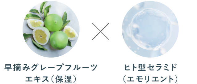 早摘みグレープフルーツ エキス(保湿)×ヒト型セラミド (エモリエント)