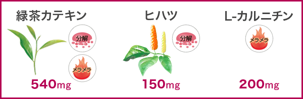 緑茶カテキン540mg、ヒハツ150mg、L−カルニチン200mg