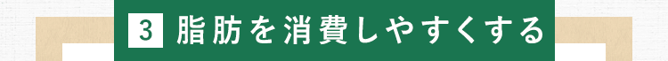 3.脂肪を消費しやすくする