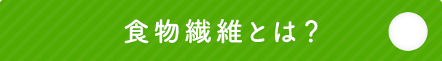 食物繊維とは?