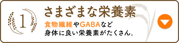 1 さまざまな栄養素 食物繊維やGABAなど 身体に良い栄養素がたくさん。