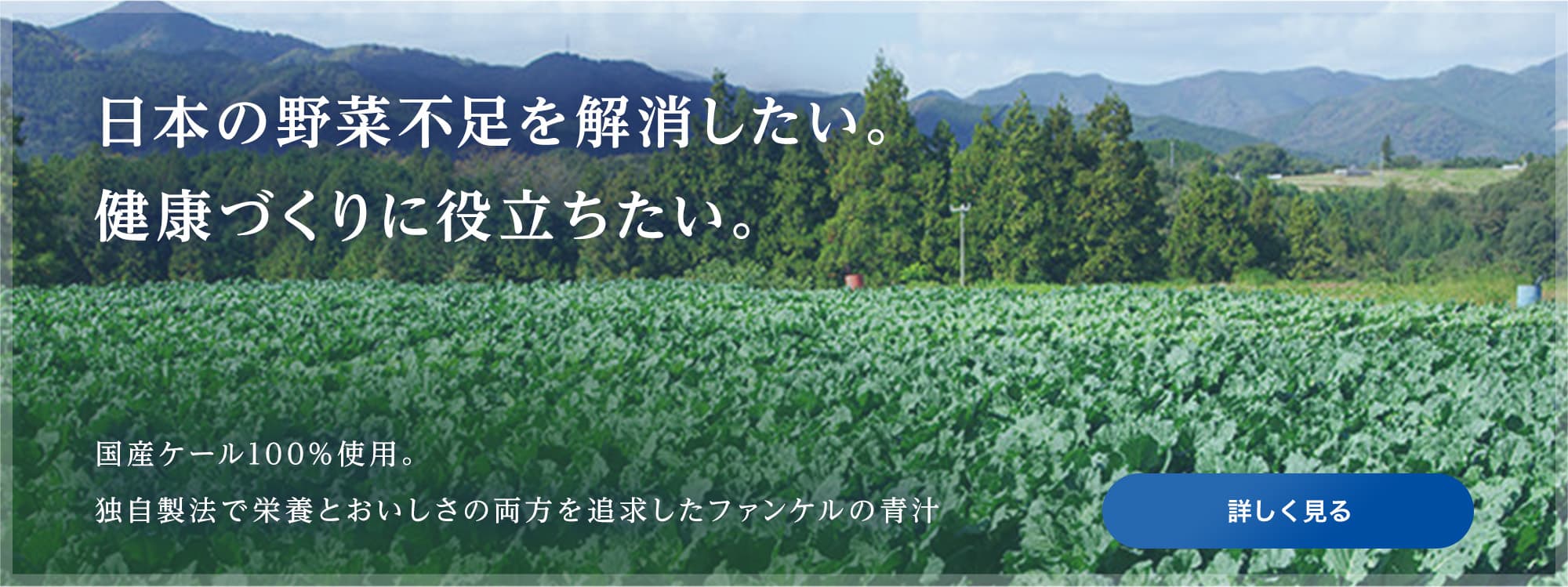 国内産ケールを使用。独自製法で栄養とおいしさの両方を追求しました。 野菜本来の力を最大限に引き出した、青汁のこだわりを紹介します。