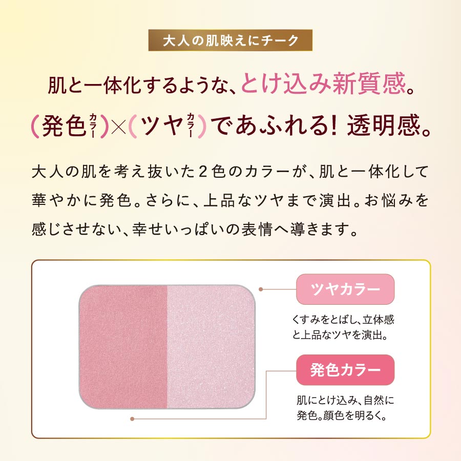 ニュアンスコントラストチークカラー［ケース入］