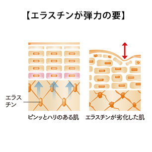 リンクルクリーム