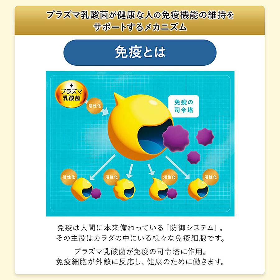 免疫サポート　粒タイプ