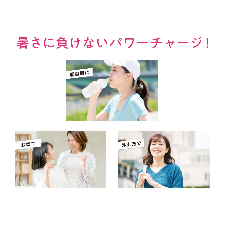 溶かして飲む 夏の塩レモン