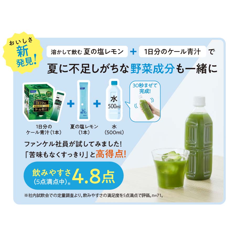 溶かして飲む 夏の塩レモン