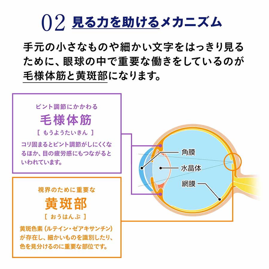 えんきん 