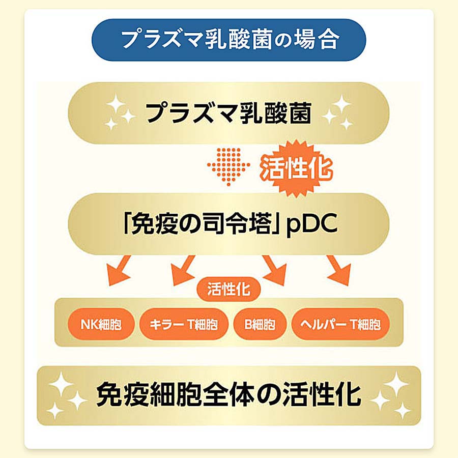 免疫サポート　粒タイプとマルチビタミン＆ミネラル Base POWERセット