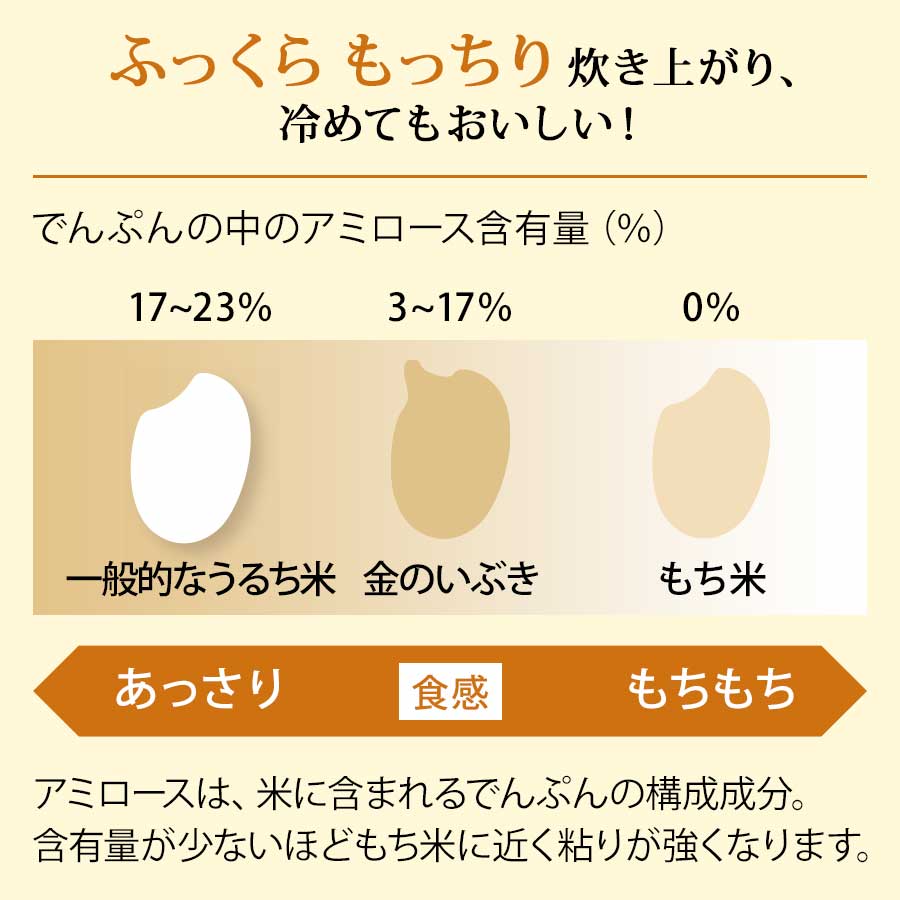 発芽米 金のいぶき