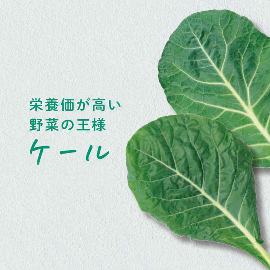 搾りたてケール青汁と柑橘果汁セット