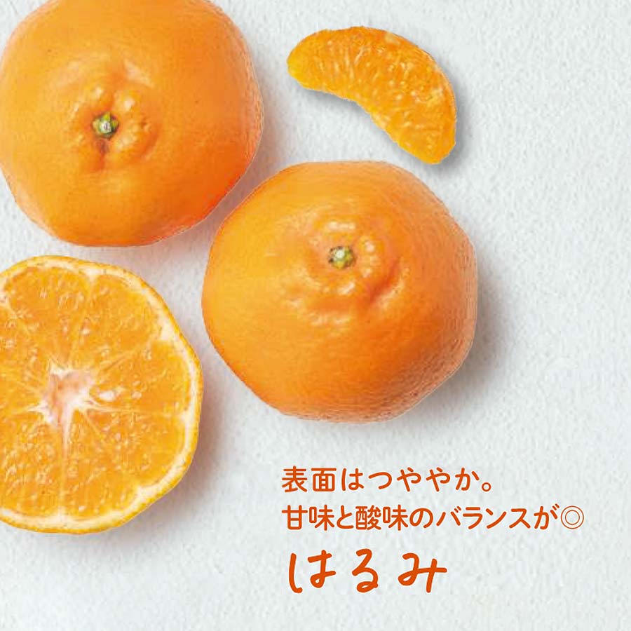 搾りたてケール青汁と柑橘果汁セット