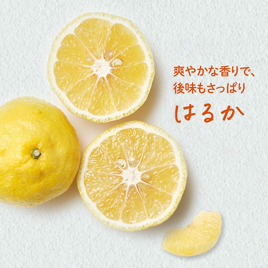 搾りたてケール青汁と柑橘果汁セット