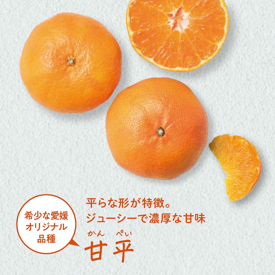 搾りたてケール青汁と柑橘果汁セット