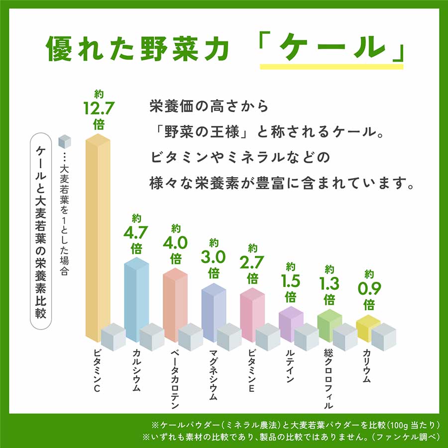 1日分のケール青汁