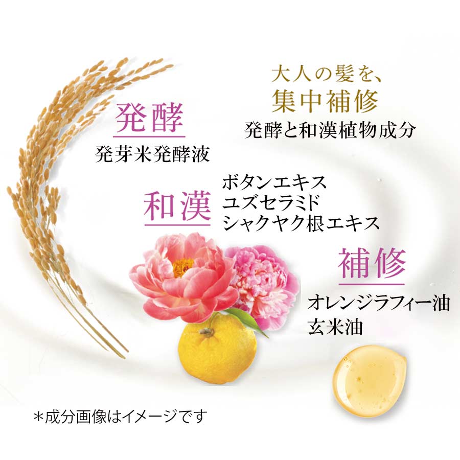 化粧品 ビューティブーケ つや髪ケアオイル ファンケルオンライン 化粧品 ビューティブーケ つや髪ケアオイル ファンケルオンライン