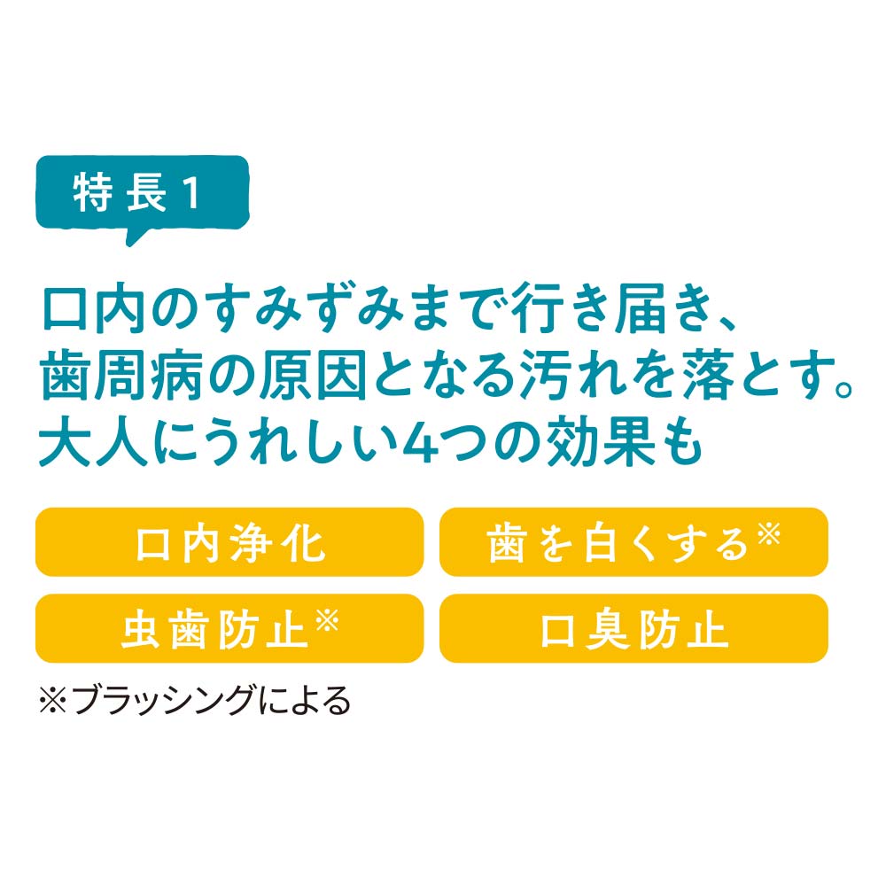ファンケル 液体ハミガキ（ナチュラル）  