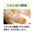myData.name[0]