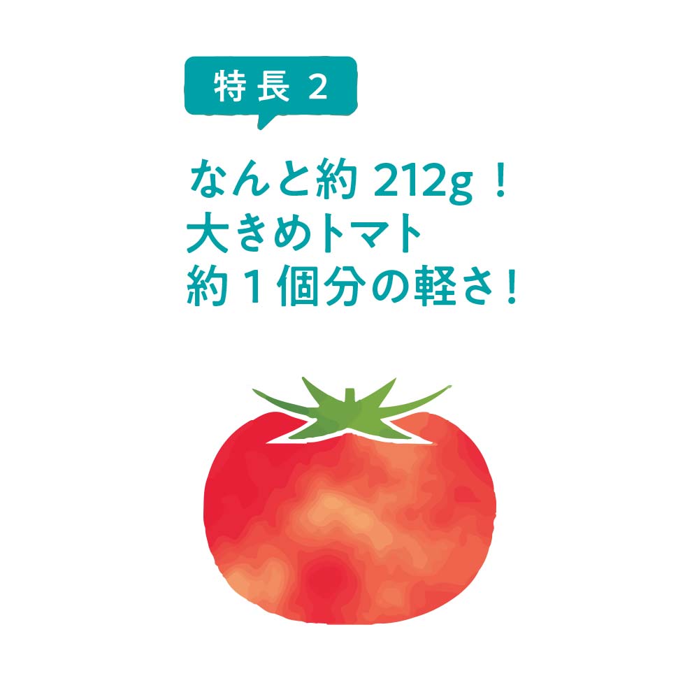 極軽ポケッタブルトート