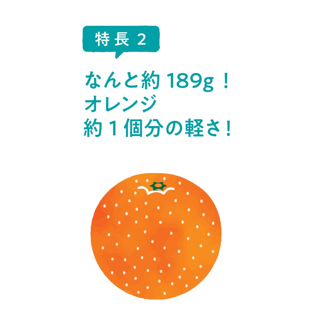 極軽ポケッタブルリュック