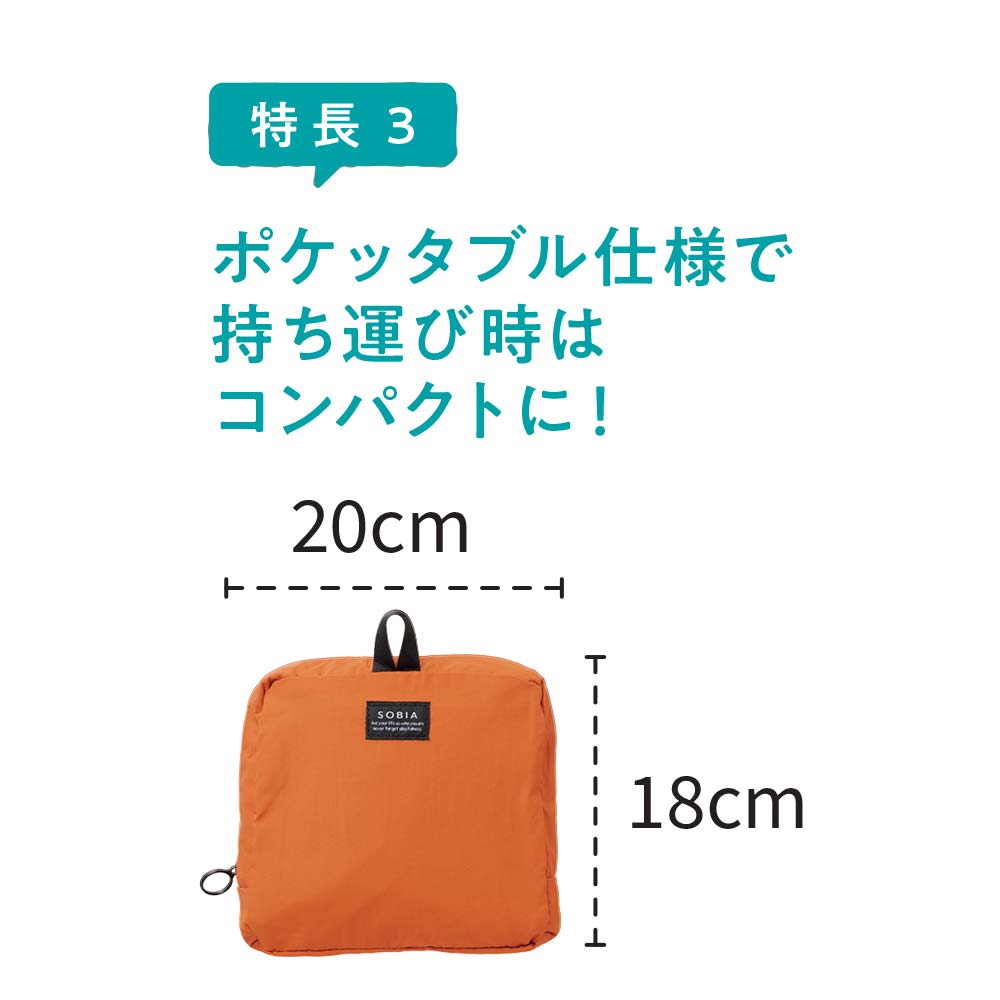 極軽ポケッタブルリュック