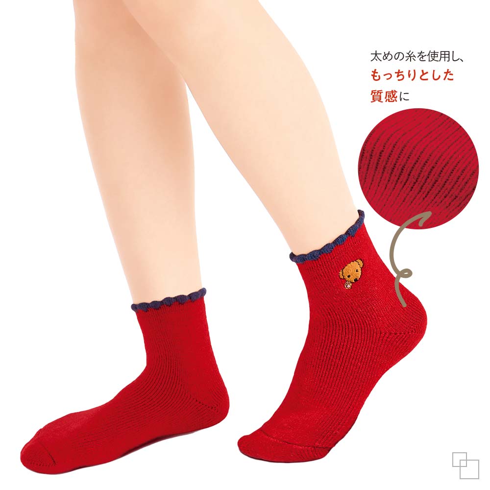 履くホカロンソックス