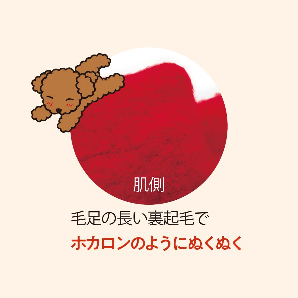 履くホカロンソックス