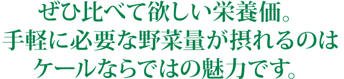 ぜひ比べてほしい栄養価。手軽に必要な野菜量が摂れるのはケールならではの魅力です。