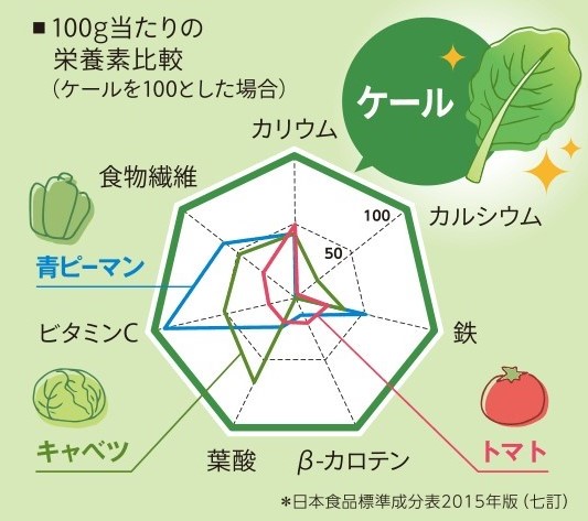 野菜から摂取できる栄養素とは 不足しがちな栄養素を効率よく摂るにはどんな方法がある 健康食品通販のファンケルオンライン