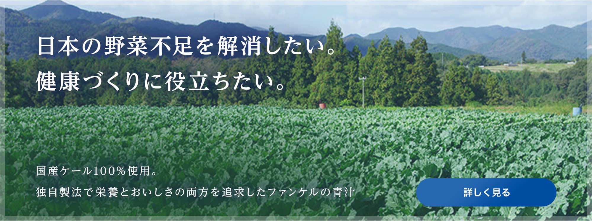 国産ケールのこだわり