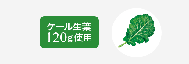 ケール生葉120g使用