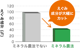 硝酸態窒素濃度の比較