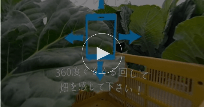 VR収穫体験（110秒）