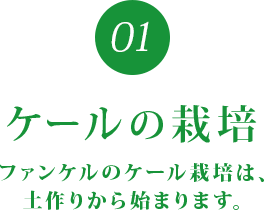 01 ケールの栽培 ファンケルのケール栽培は、土作りから始まります。