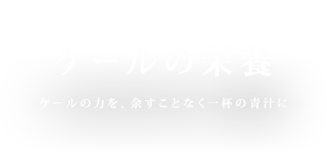 ケールの栄養 ケールの力を、余すことなく一杯の青汁に