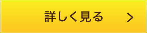 詳しく見る