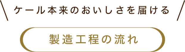 製造工程の流れ