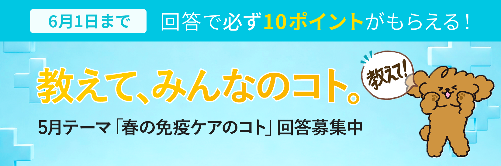 教えて、みんなのコト。生活にまつわる様々なテーマの調査 毎月開催 ご回答で10ポイントプレゼント!