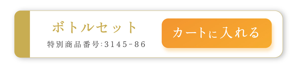 ボトルセット